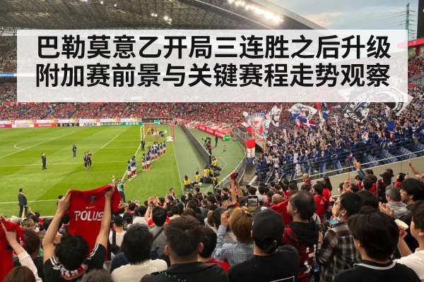 football stadium fans