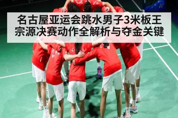 名古屋亚运会跳水男子3米板王宗源决赛动作全解析与夺金关键